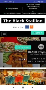 The Black Stallion screenshot 0