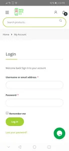 RamCap screenshot 2