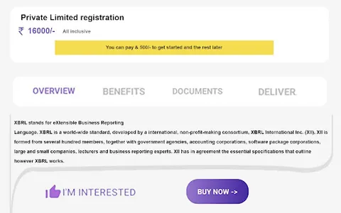 onlinexbrl screenshot 9