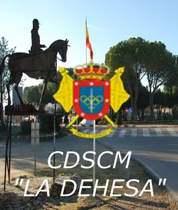 cdscmetladehesa screenshot 7