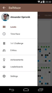 BallMaze Lite - Puzzle screenshot 2