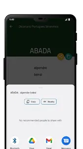 Dicionario Portugues Sinonimos screenshot 3