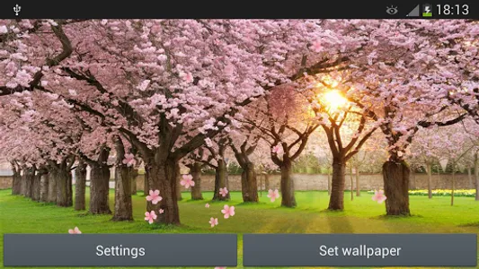 Sakura Live Wallpaper screenshot 5