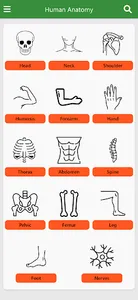 Learn Anatomy Muscles screenshot 0