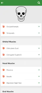 Learn Anatomy Muscles screenshot 1