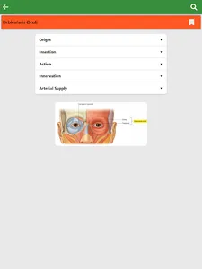 Learn Anatomy Muscles screenshot 13