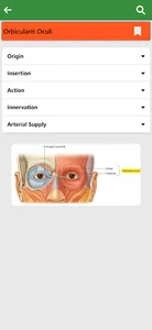 Learn Anatomy Muscles screenshot 4