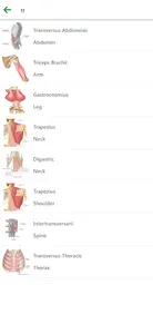 Learn Anatomy Muscles screenshot 7