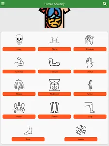 Learn Anatomy Muscles screenshot 8