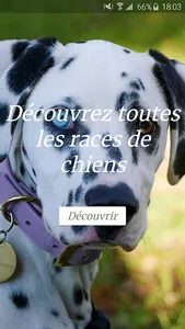 Dog Breed screenshot 0