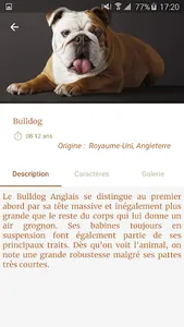 Dog Breed screenshot 4