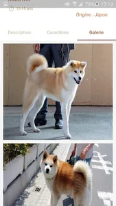 Dog Breed screenshot 6