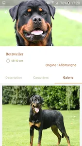 Dog Breed screenshot 7