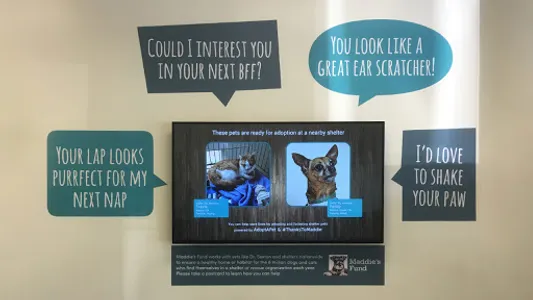 SQUIZZ Digital Signage screenshot 14