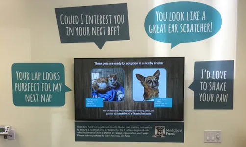 SQUIZZ Digital Signage screenshot 2