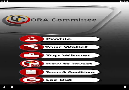 ORA Committee screenshot 5