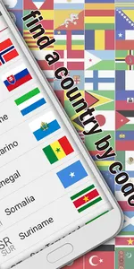 country codes screenshot 1