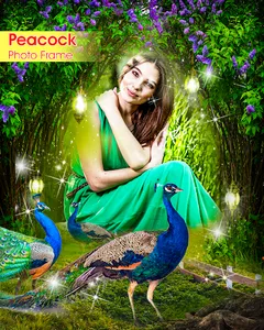 Peacock Photo Frames Garnish screenshot 8