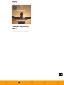 Zenergize screenshot 13
