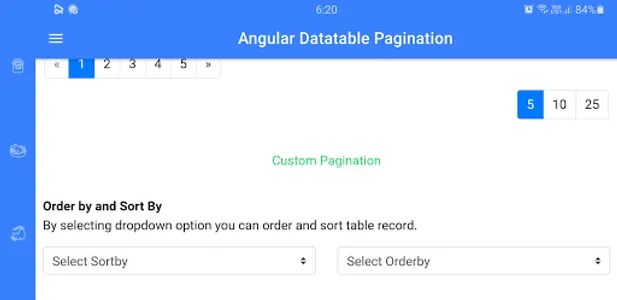 Pagination Packages screenshot 11