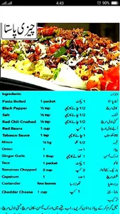 Best Pasta Recipes in Urdu screenshot 4