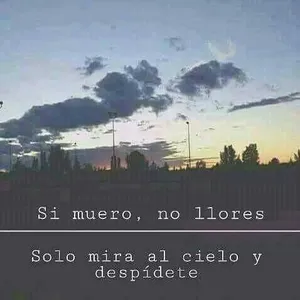palabras tocar corazón screenshot 4