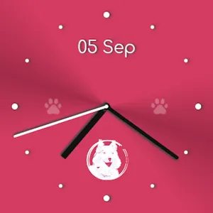 Watch Face - The World of Kira screenshot 6