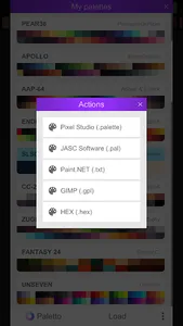Paletto screenshot 3