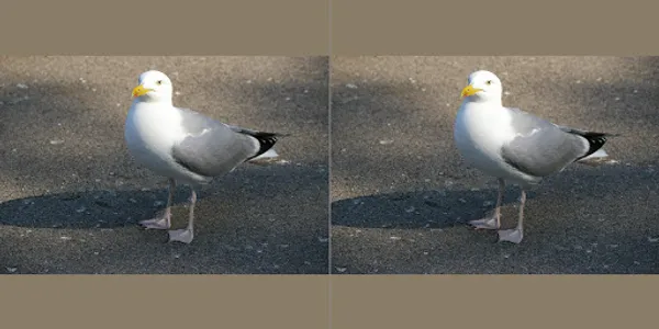 iPhotoVR Pro screenshot 0