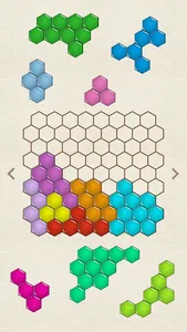 Hexagon Puzzle screenshot 0