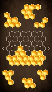 Hexagon Puzzle screenshot 2