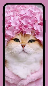 Cute Cats wallpapers HD+ screenshot 7