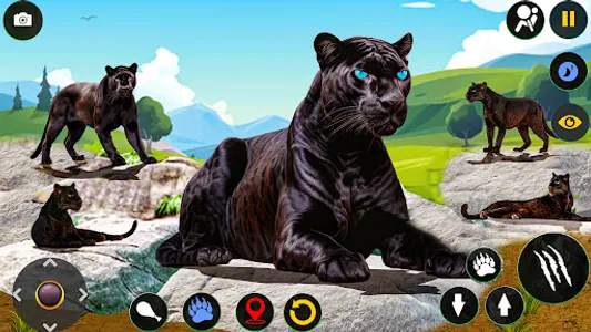 Wild Black Panther Sim Games screenshot 2