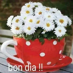 BON DIA! screenshot 0