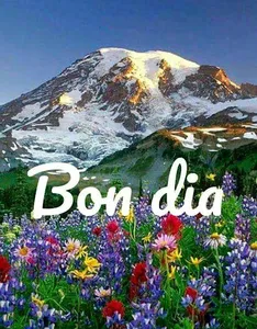BON DIA! screenshot 3