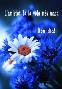 BON DIA! screenshot 4