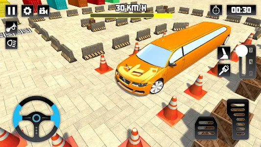 Limousine Parking - Car Park screenshot 18