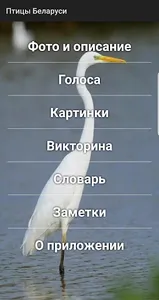 Птицы Беларуси screenshot 0