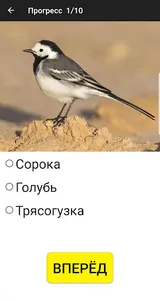 Птицы Беларуси screenshot 5