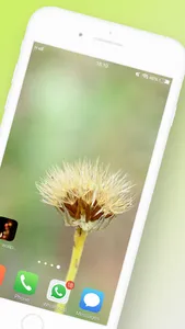 Bokeh Wallpaper screenshot 1