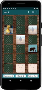 Memory Cards screenshot 3