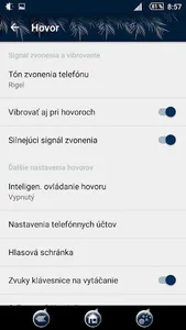 Xmas blue & silver theme screenshot 5