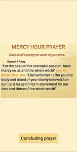 Mercy Hour screenshot 4