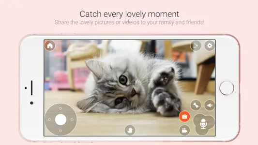 Pawbo Life screenshot 4