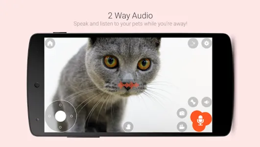 Pawbo Life screenshot 8