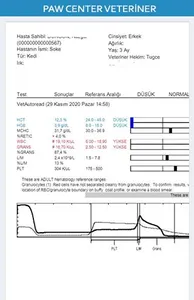 Paw Center Veteriner Kliniği screenshot 4