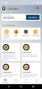 PayPulse screenshot 1