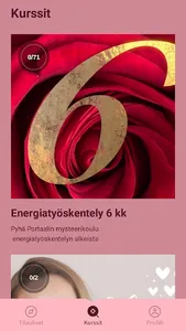 Pyhä Portaali screenshot 1