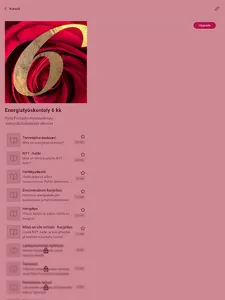 Pyhä Portaali screenshot 11