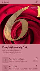 Pyhä Portaali screenshot 3